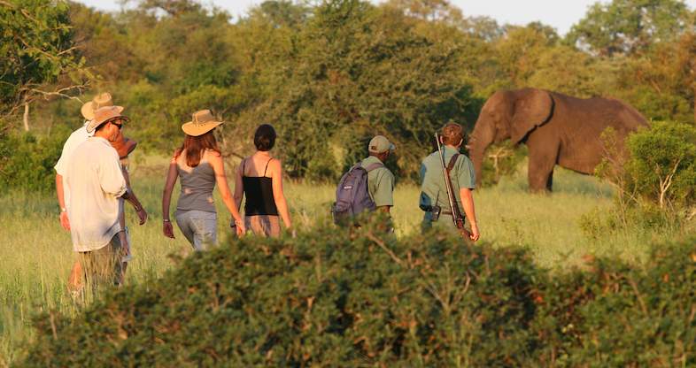 5 Day Kruger Safari - Hiking Tour