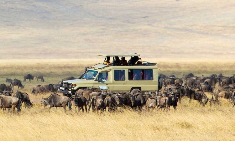 5 Day Tanzania Safari – Serengeti, Ngorongoro & Tarangire