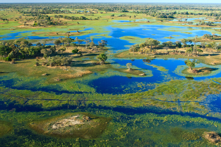 6 Day Moremi & Okavango Delta Tented Safari
