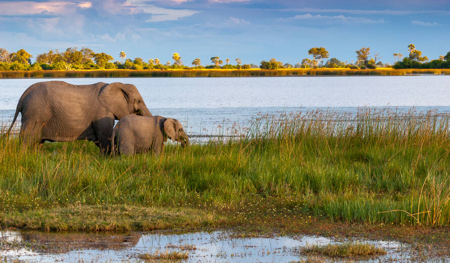 7 Day Botswana Safari: Chobe to Okavango Delta
