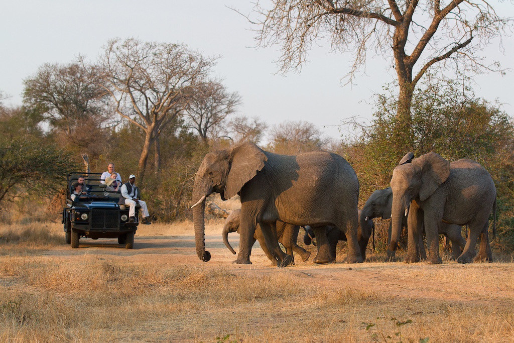 Greater Kruger Park Tented Camp Safari