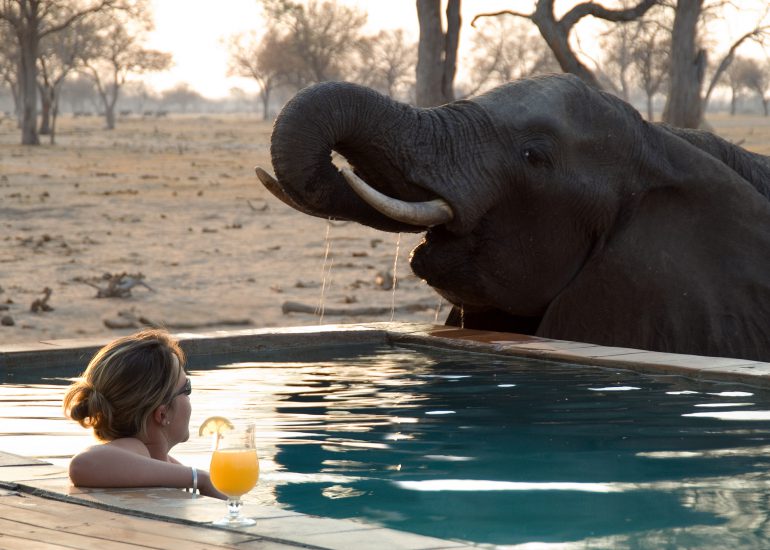 6 Day Victoria Falls & Hwange Safari in Zimbabwe