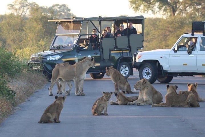 5 Day Kruger Safari to Private River Lodge