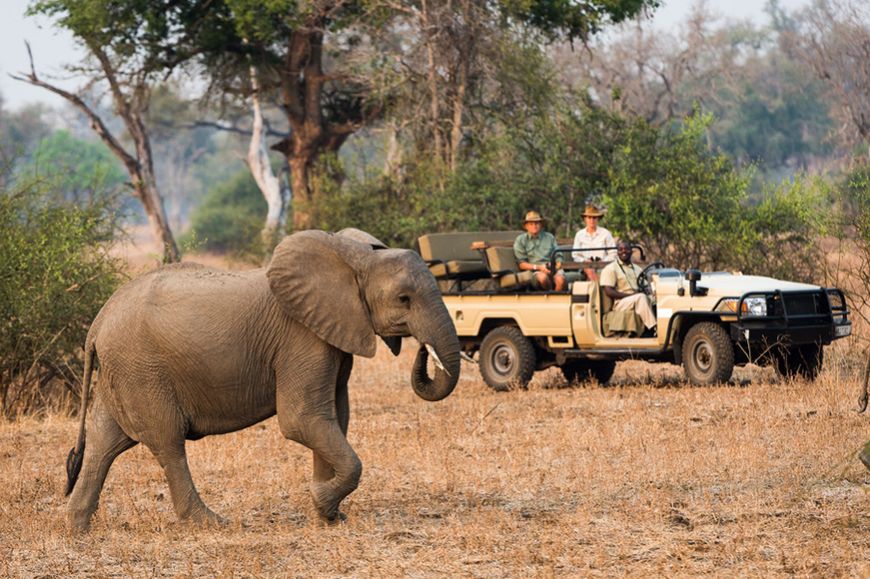 7-Day Northern Malawi Safari (Budget Lodge Tour)