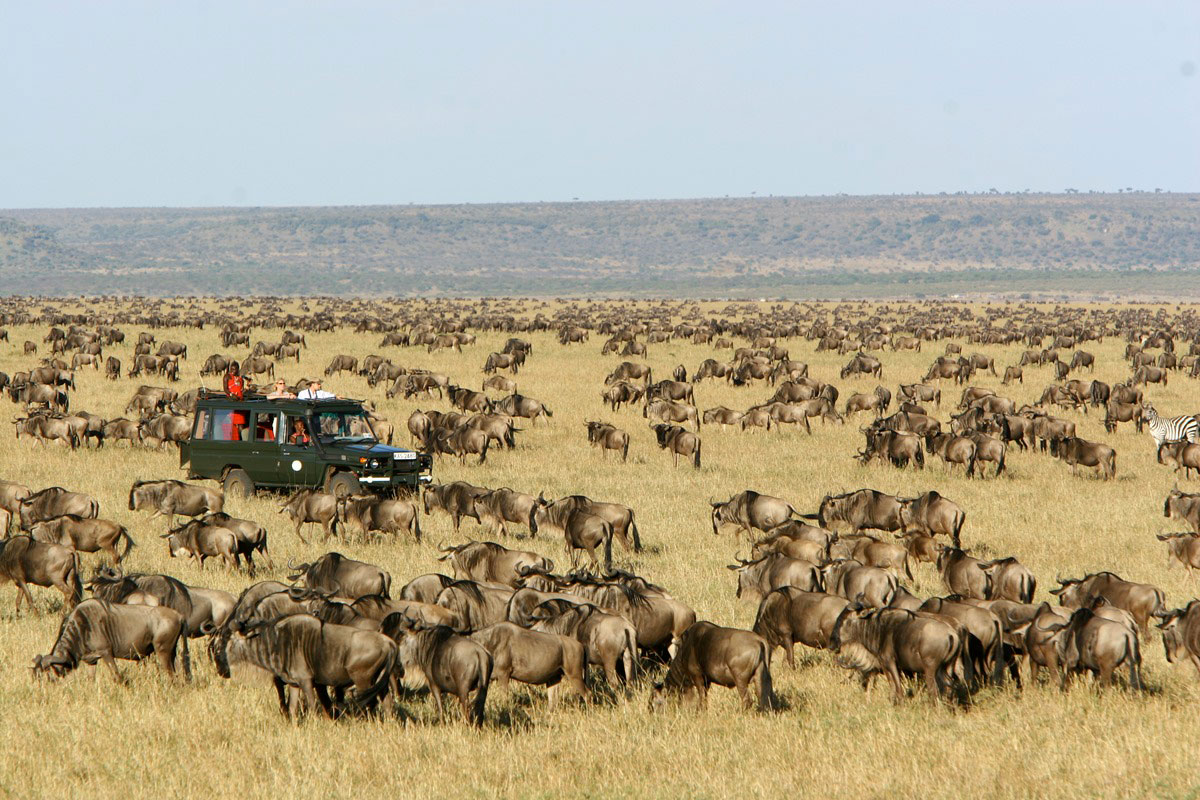 5 Day Lake Nakuru & Masai Mara Safari in Kenya