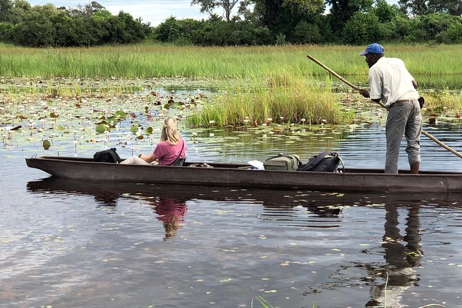 5 Day Botswana Safari: Okavango Delta Mokoro Safari 