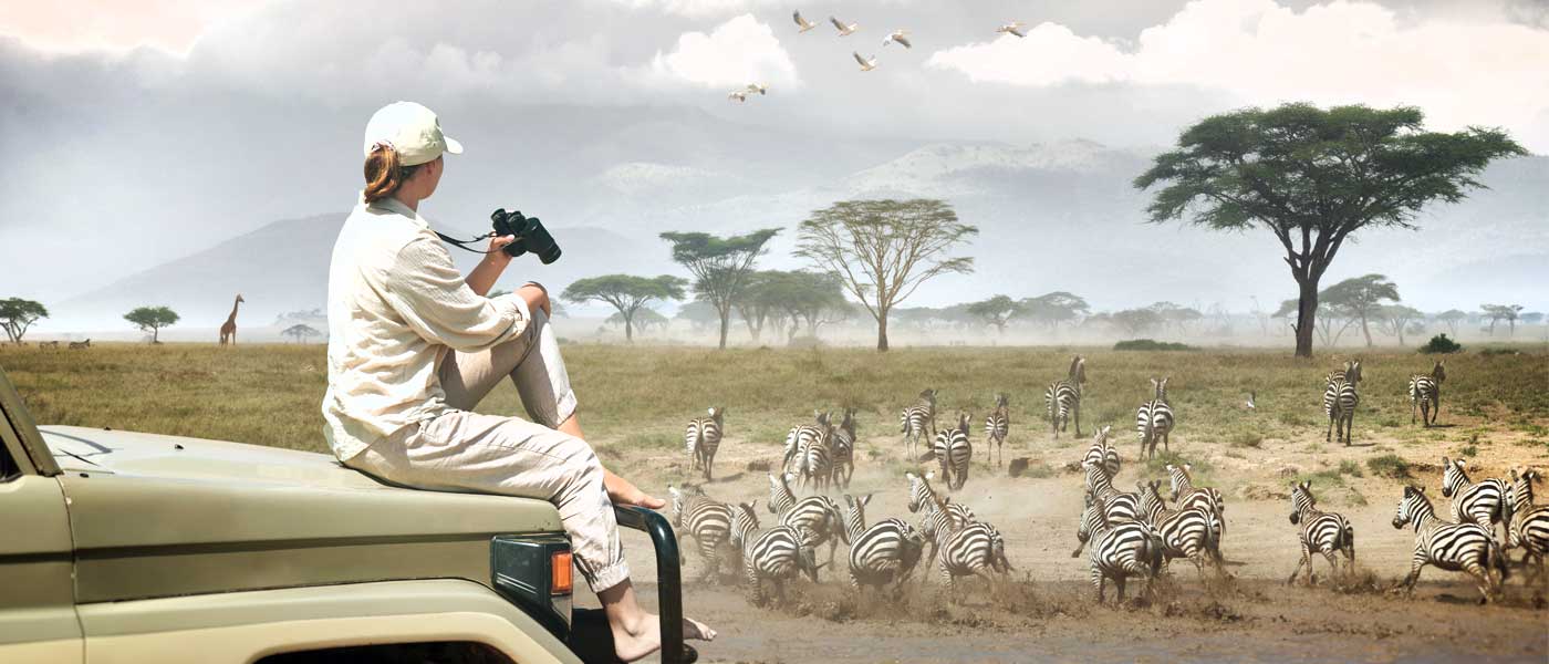 11 Of The Best Big Five Safaris in Tanzania: Affordable African Safari Tours