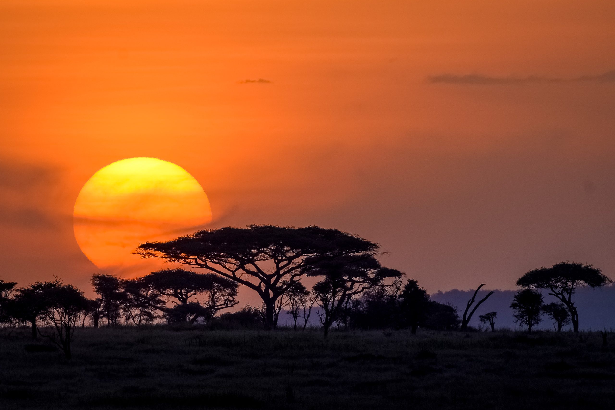Tanzania Safari to Serengeti & Beyond – Wildlife Lodge Tour