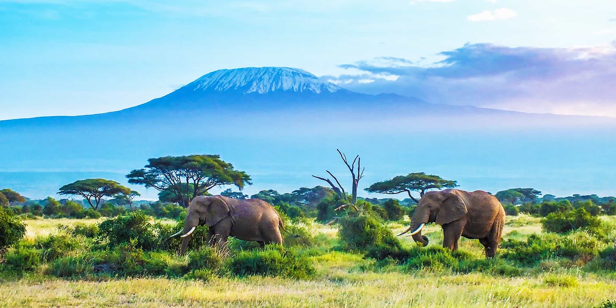 Tanzania Wildlife Safari - Camping Tour 