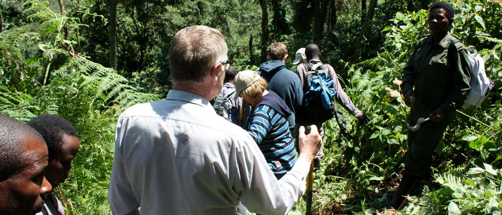 Gorilla trekking in Bwindi Uganda