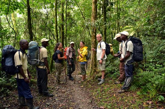 What to pack for your gorilla trekking tour