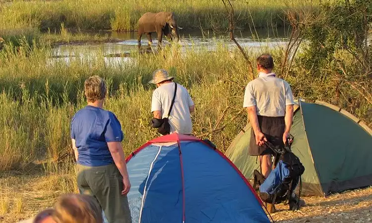 5 Day Kruger Safari – Backpackers Lodge Tour