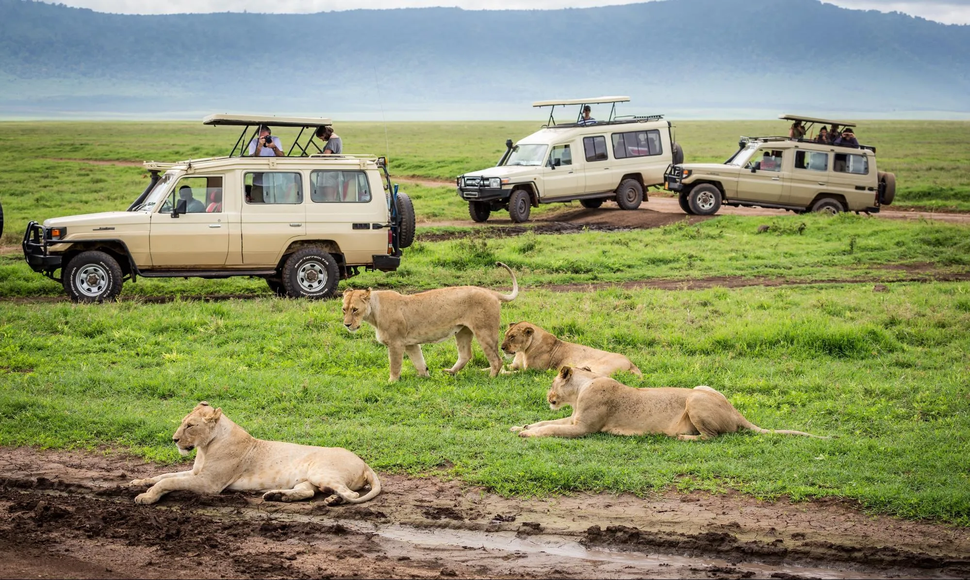 budget for african safari